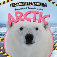 Cover image for Endangered Animals in the Arctic