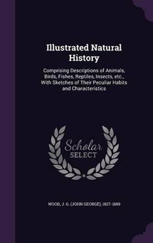 Cover image for Illustrated Natural History: Comprising Descriptions of Animals, Birds, Fishes, Reptiles, Insects, Etc., with Sketches of Their Peculiar Habits and Characteristics