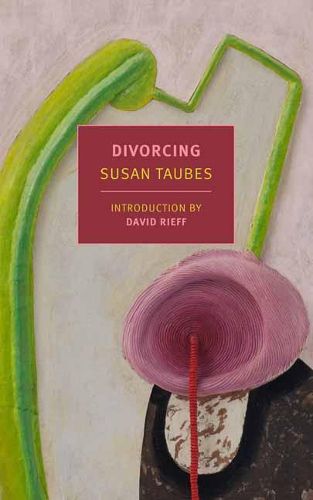 Cover image for Divorcing