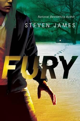 Cover image for Fury