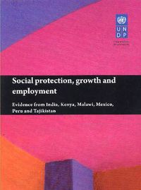 Cover image for Social protection, growth and employment