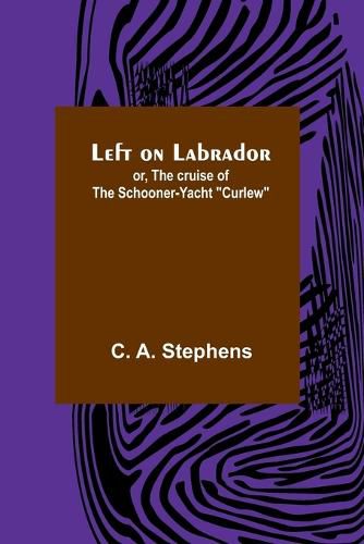 Cover image for Left on Labrador; or, The cruise of the Schooner-yacht "Curlew"