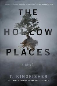 Cover image for The Hollow Places