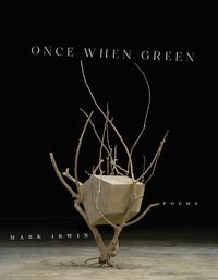 Cover image for Once When Green