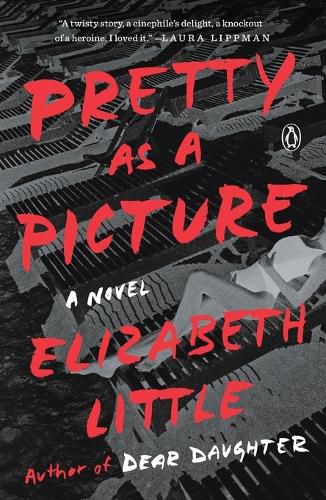 Cover image for Pretty as a Picture: A Novel