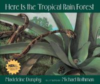 Cover image for Here Is the Tropical Rain Forest