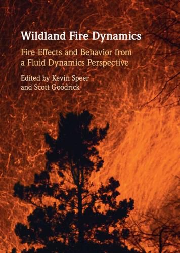 Cover image for Wildland Fire Dynamics