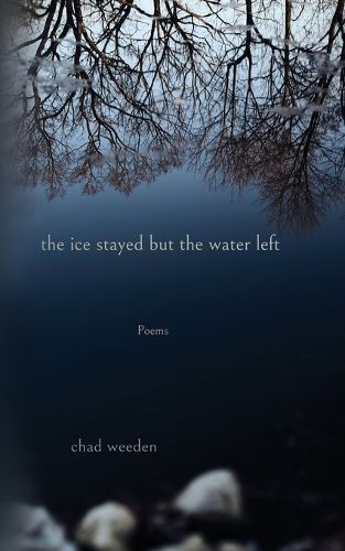 Cover image for The ice stayed but the water left