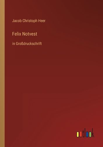 Cover image for Felix Notvest