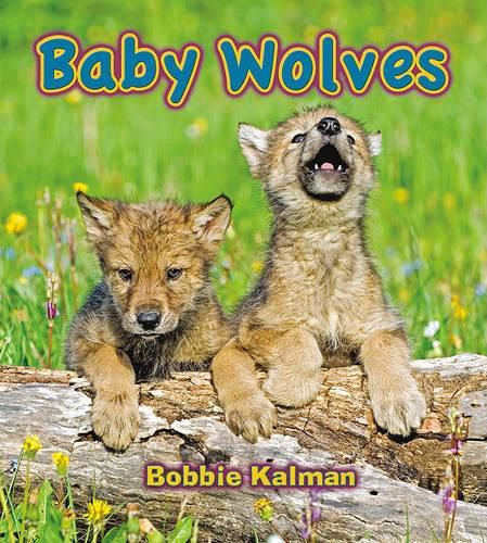 Cover image for Baby Wolves