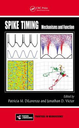 Cover image for Spike Timing: Mechanisms and Function