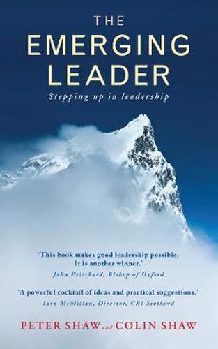Cover image for The Emerging Leader: Stepping up in leadership