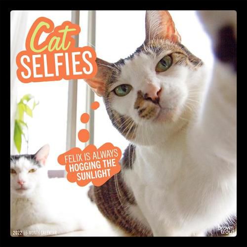 Cover image for Cat Selfies 2022 Square