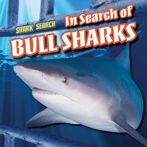 Cover image for In Search of Bull Sharks