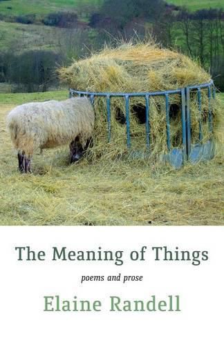 Cover image for The Meaning of Things