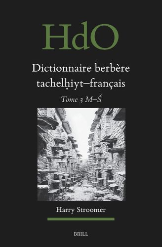Cover image for Dictionnaire berbere tachelh?iyt - francais