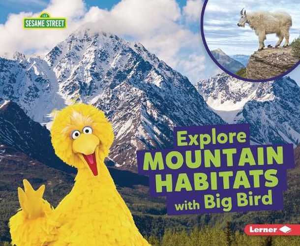 Explore Mountain Habitats with Big Bird