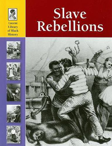 Cover image for Slave Rebellions