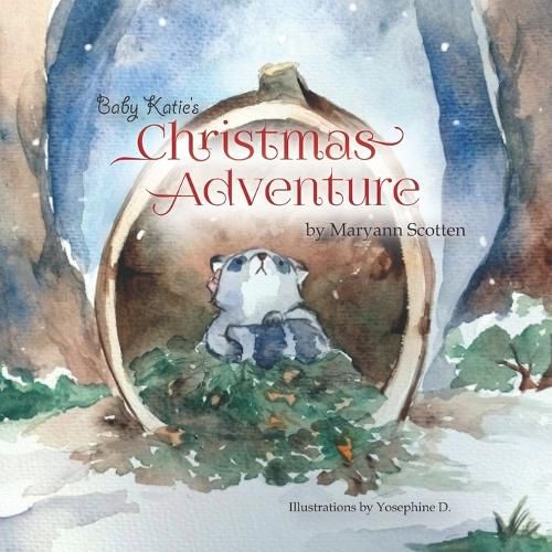 Cover image for Baby Katie's Christmas Adventure