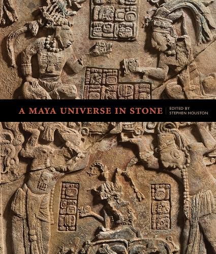 Cover image for A Maya Universe in Stone