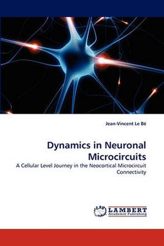 Cover image for Dynamics in Neuronal Microcircuits