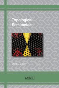 Cover image for Topological Semimetals