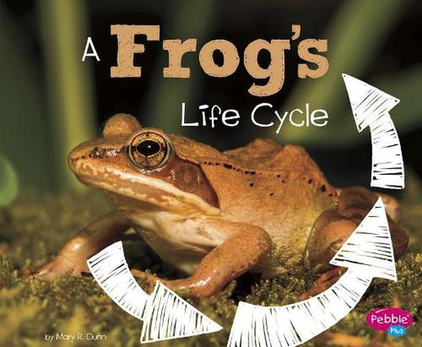 Cover image for A Frogs Life Cycle (Explore Life Cycles)