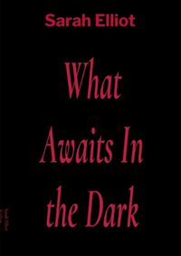 Cover image for What Awaits In the Dark