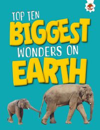 Cover image for Top Ten Biggest Wonders on Earth