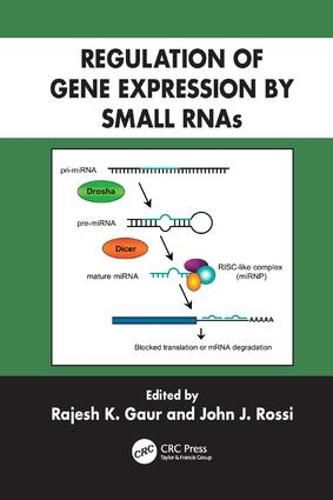 Cover image for Regulation of Gene Expression by Small RNAs