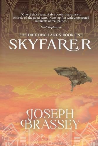 Cover image for Skyfarer