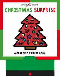 Cover image for Christmas Surprise