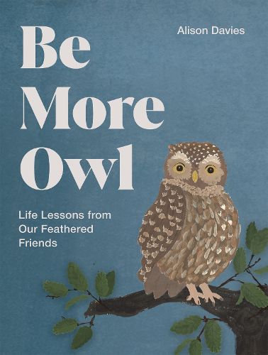 Cover image for Be More Owl