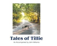 Cover image for Tales of Tillie