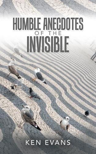 Cover image for Humble Anecdotes of the Invisible