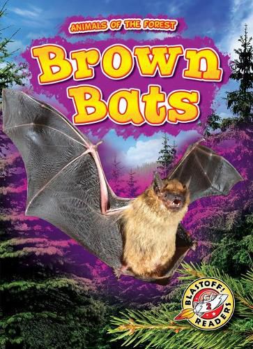 Cover image for Brown Bats