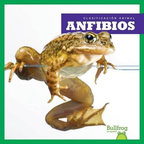 Cover image for Anfibios / Amphibians