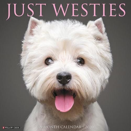 Cover image for Just Westies 2020 Wall Calendar (Dog Breed Calendar)