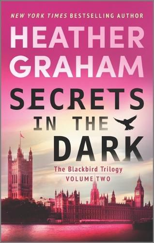 Cover image for Secrets in the Dark