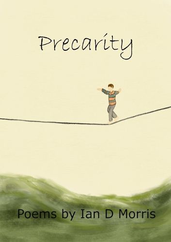 Cover image for Precarity