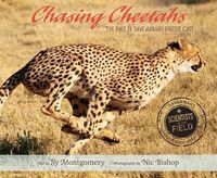 Cover image for Chasing Cheetahs: The Race to Save Africa's Fastest Cats