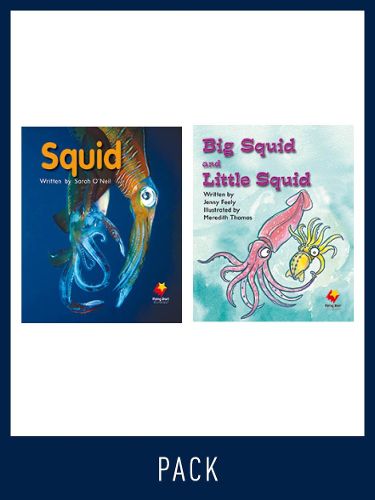 Cover image for Flying Start Guided Reading Pack Level 7, Pack 4: Paired student books (6x6) and lesson plan (1)