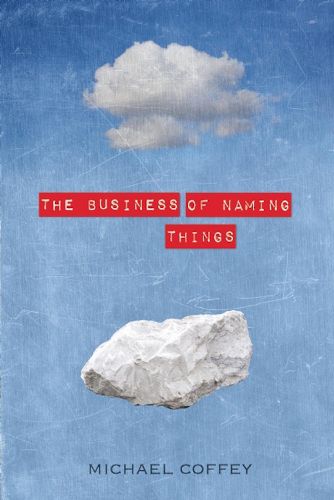 Cover image for The Business of Naming Things