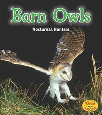 Cover image for Barn Owls: Nocturnal Hunters (Night Safari)