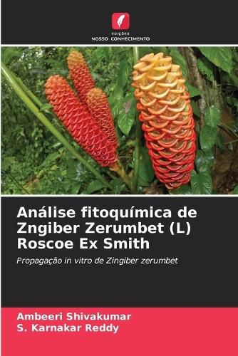 Cover image for Analise fitoquimica de Zngiber Zerumbet (L) Roscoe Ex Smith