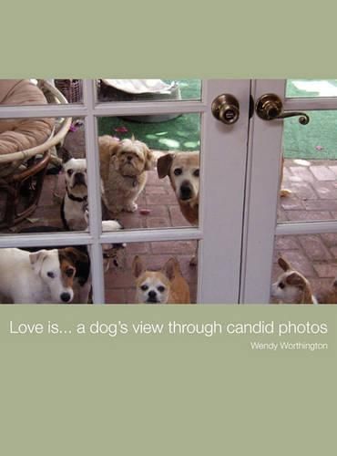 Cover image for Love Is...a Dog's View Through Candid Photos