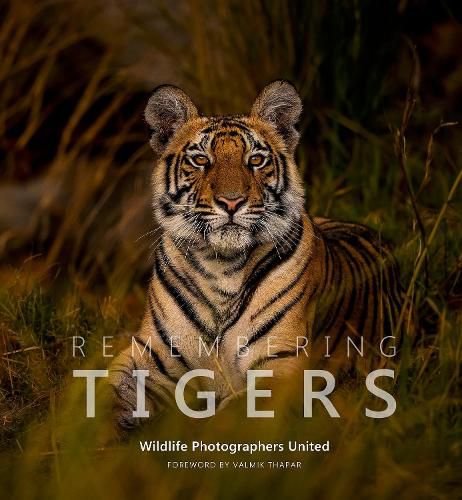 Cover image for Remembering Tigers