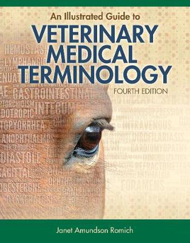 Cover image for An Illustrated Guide to Veterinary Medical Terminology