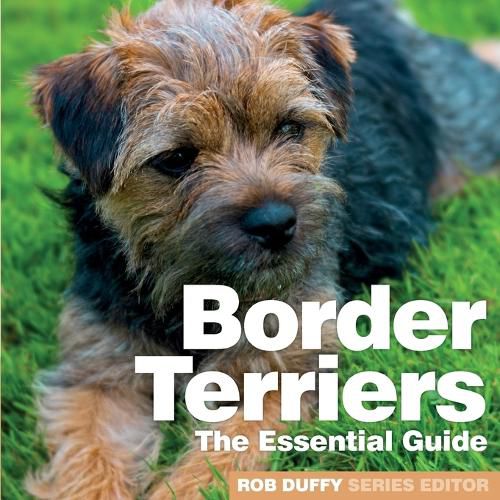 Cover image for Border Terriers: The Essential Guide