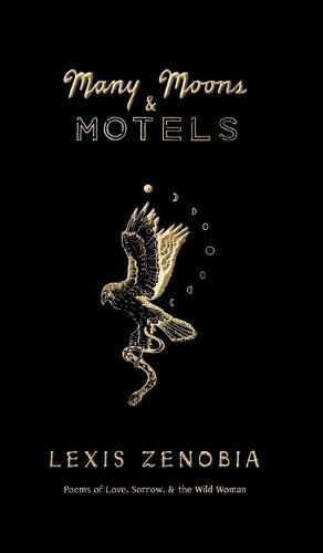 Cover image for Many Moons & Motels